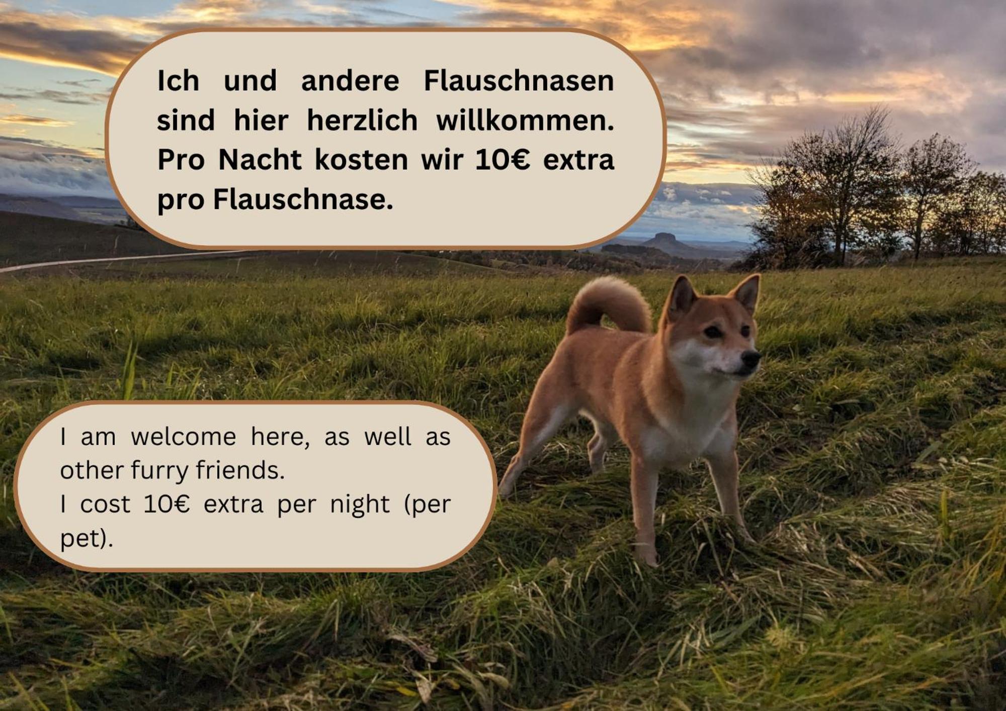 赛博尼茨S2 - Urlaubsmagie - Am Wanderweg Mit Terrasse公寓 外观 照片